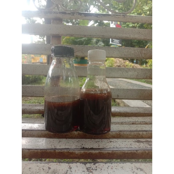 

Madu Asli Hutan Riau