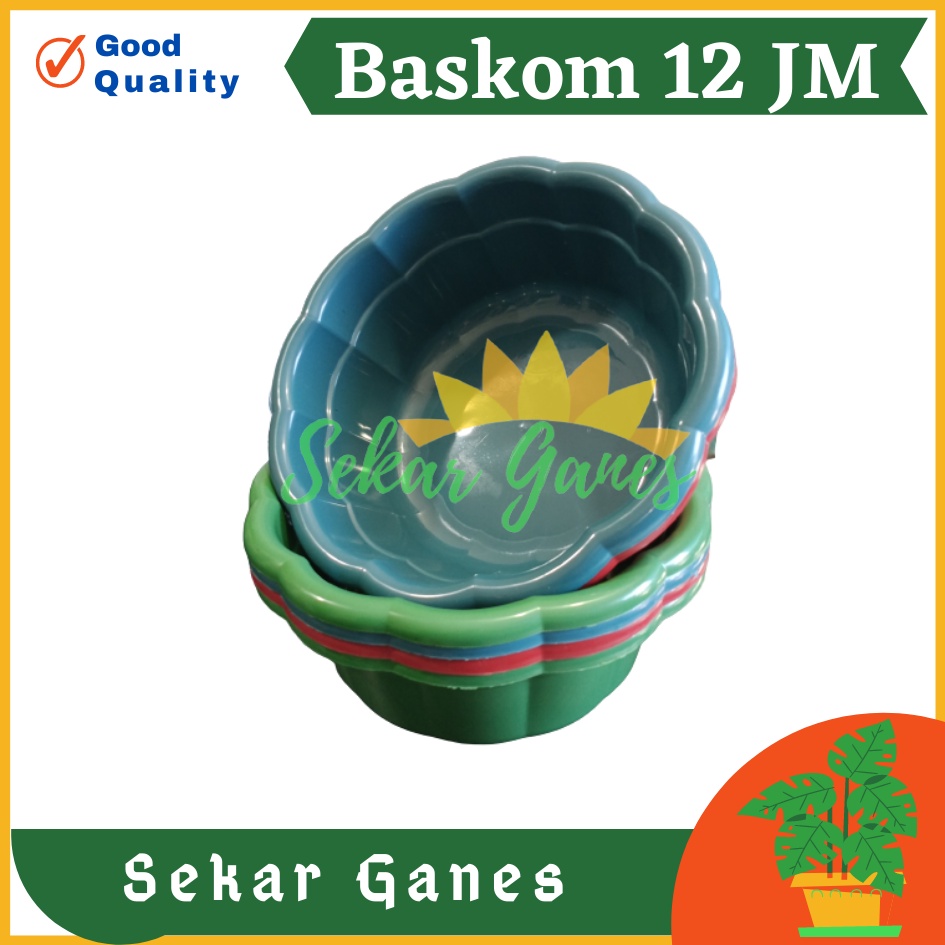 LUSINAN 12PCS Baskom Plastik Serbaguna Baskom Pencuci Buah Sayur Beras Alat Cuci Beras Buah Dan Sayur Wadah Cuci Beras Saringan Kacang Kacangan Mangkuk Bilas Bowl Serbaguna Import Murah Baskom Hajatan Adonan Kue Lusinan Murah