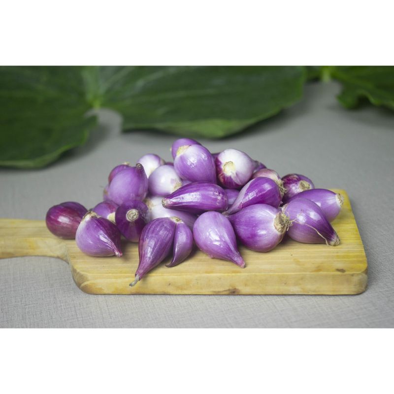 

Bawang Brebes Super 500 gr