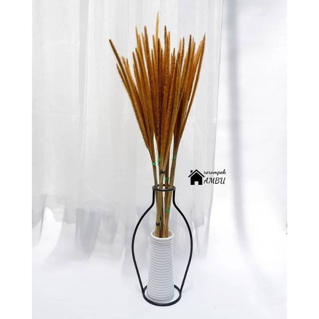 Bunga kering slancur/ bunga sataria kering/ bunga kering/ bunga slancur/ bunga sataria