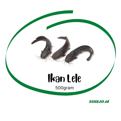 

Ikan Lele Segar 500g