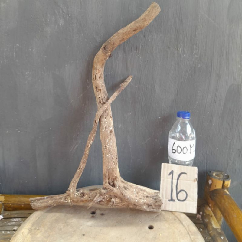 Akar Santigi Karang Aquascape Hiasan Aquarium 02