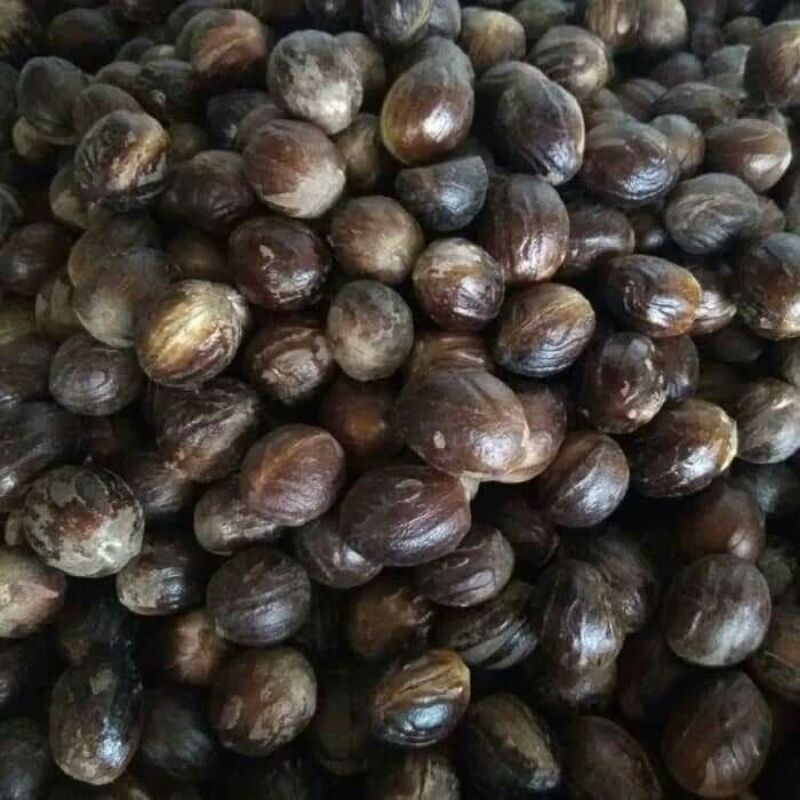 

Biji Pala Kering Kiloan