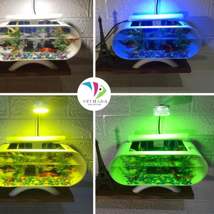 DISKON BESAR-BESARAN [COD] TERMURAH  Aquarium mini cupang / aquarium akrilik/ akuarium mini akrilik 