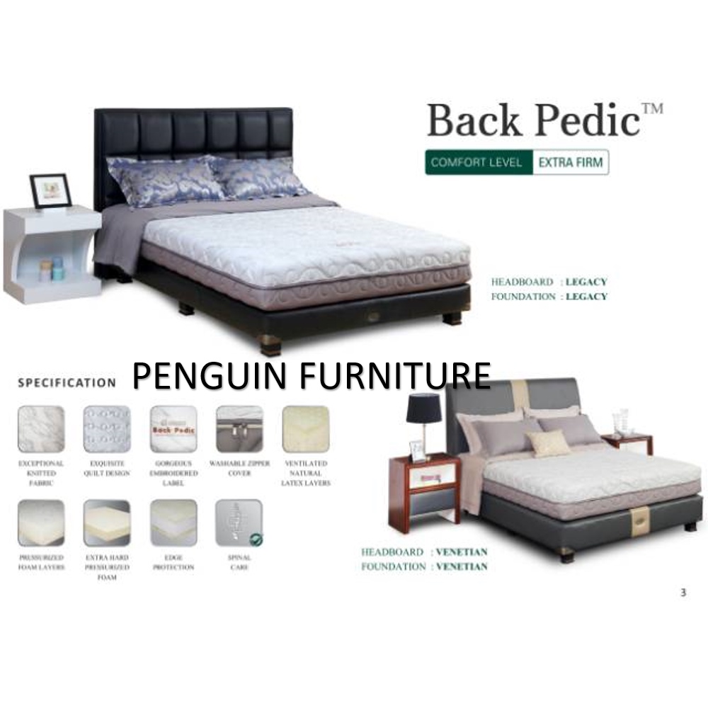 BACK PEDIC GUHDO LATEX+REBONDED ORTHOPEDIC SERIES VENETIAN T.26CM 1SET