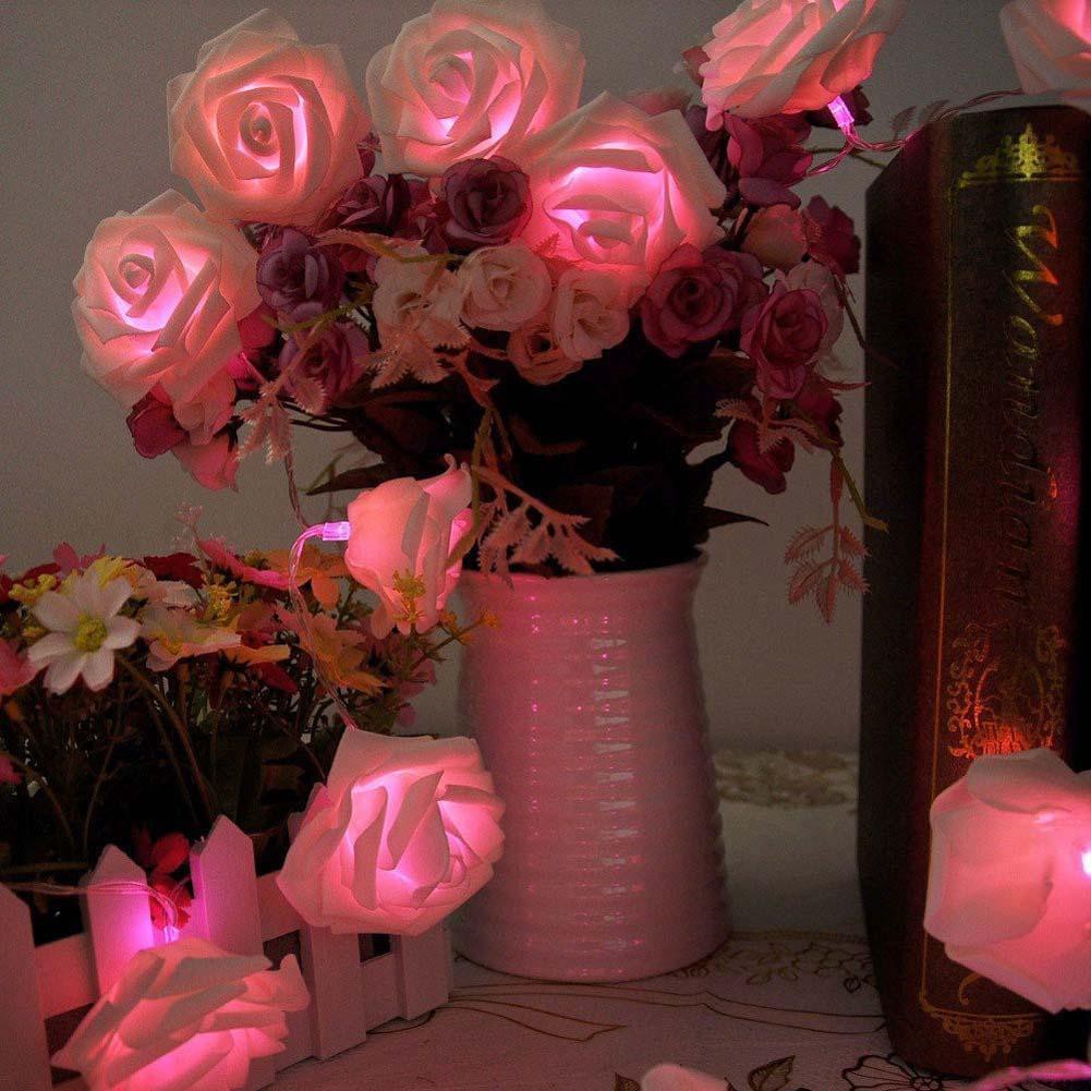 12 Bunga Mawar Merah Tumblr Gambar Bunga Indah 12 Bunga Mawar Merah Tumblr Gambar Bunga Indah