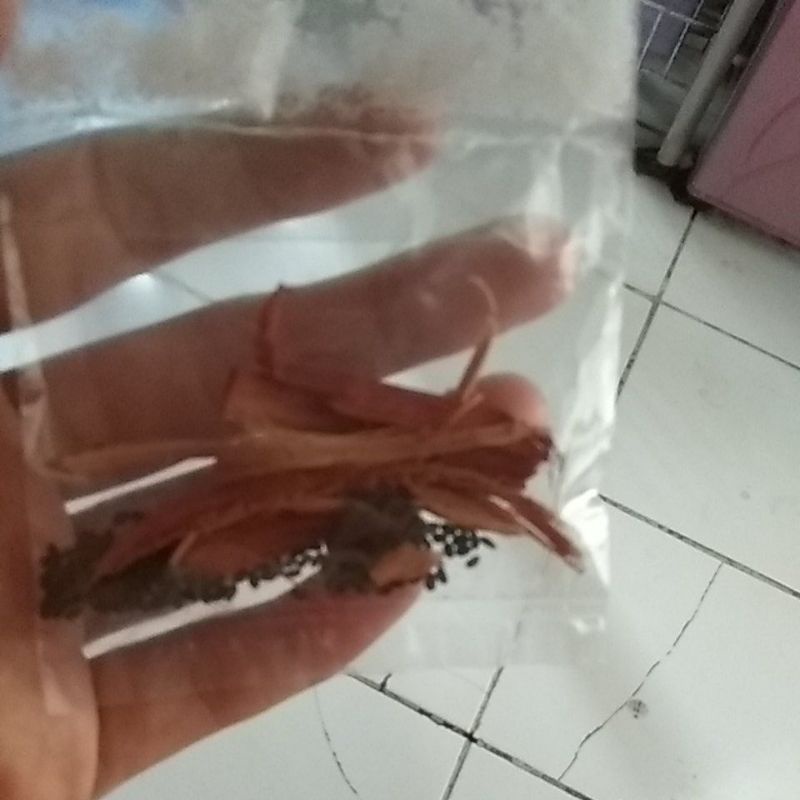 

karmojo