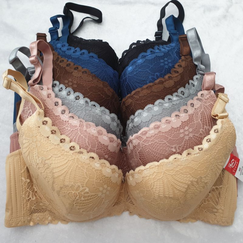 Bra bh Elena 24448 cup besar busa kawat 36D-42D