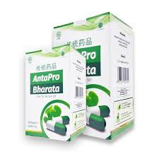 

Obat Stroke Herbal Paling Ampuh | Antapro Bharata Asli