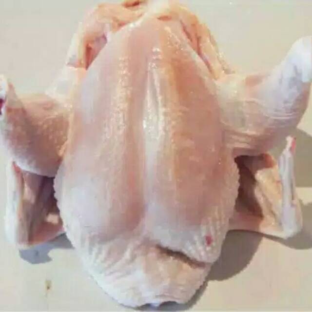 

ayam 1kg