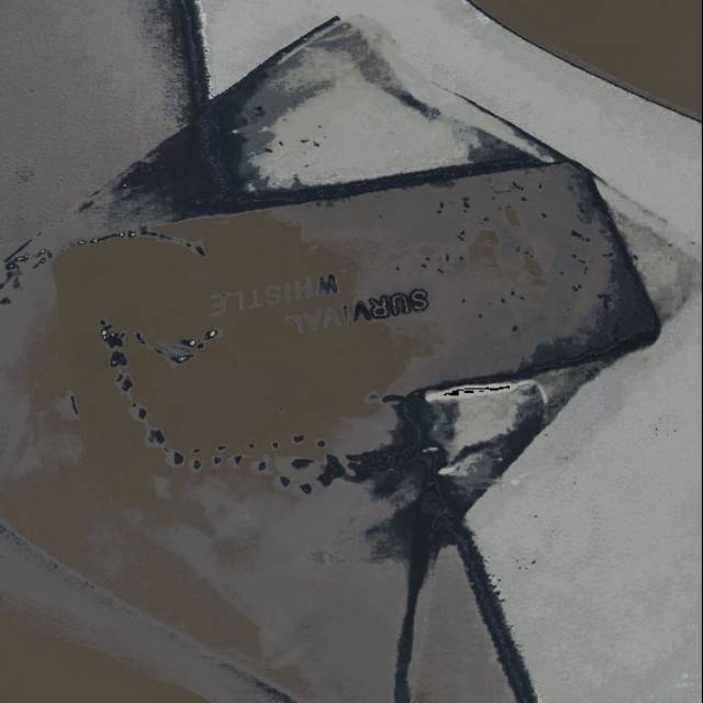 Peluit latih burung ff, lumba-lumba anjing dll