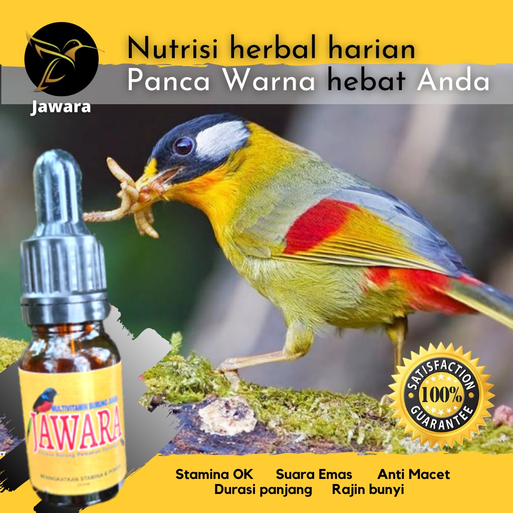 JAWARA Nutrisi Herbal Harian Kicau Burung Panca Warna