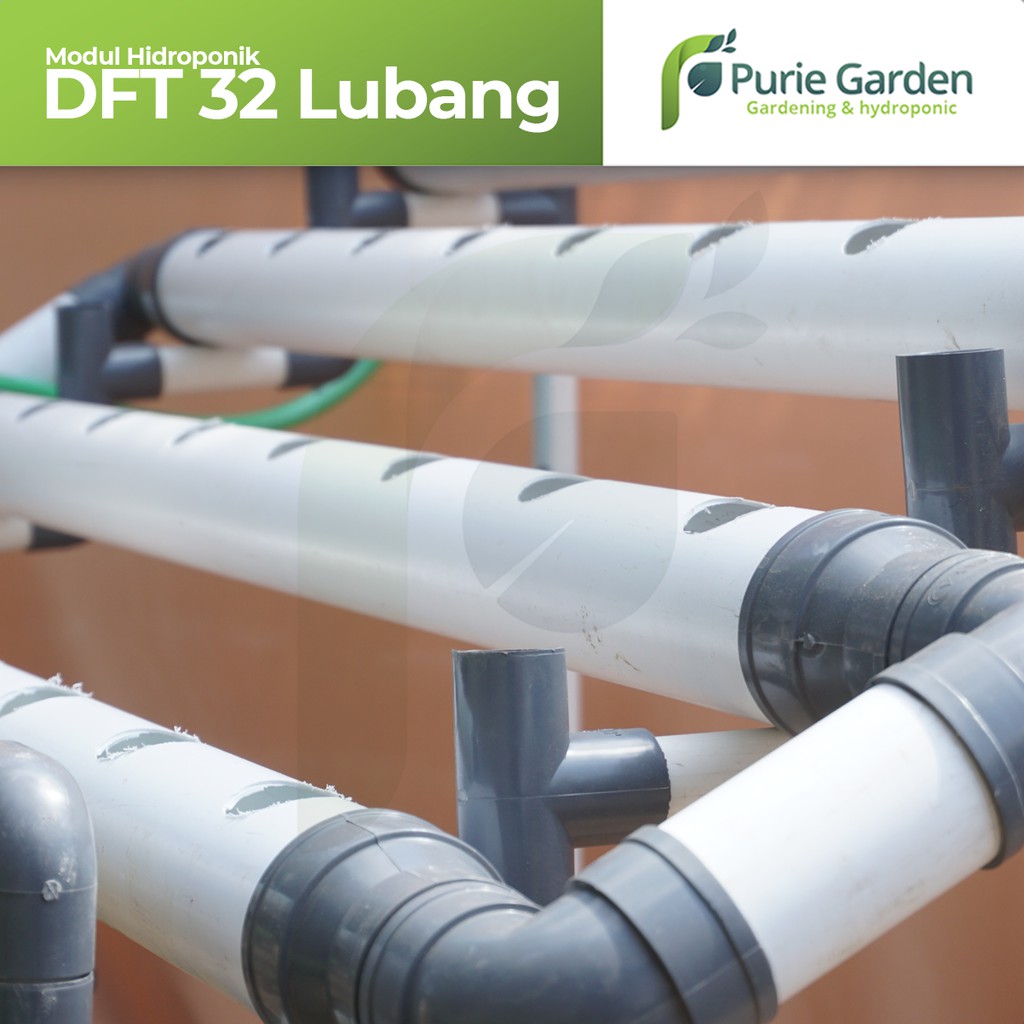 Modul Hidroponik DFT 32 Lubang PG KDR