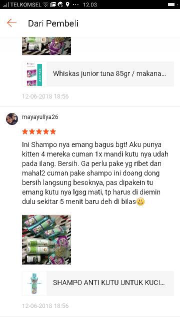 SHAMPO ARMANI TICK &amp; FLEA  / shampo kutu kucing / Raid All