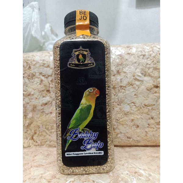 PAKAN BEJO BALIBU