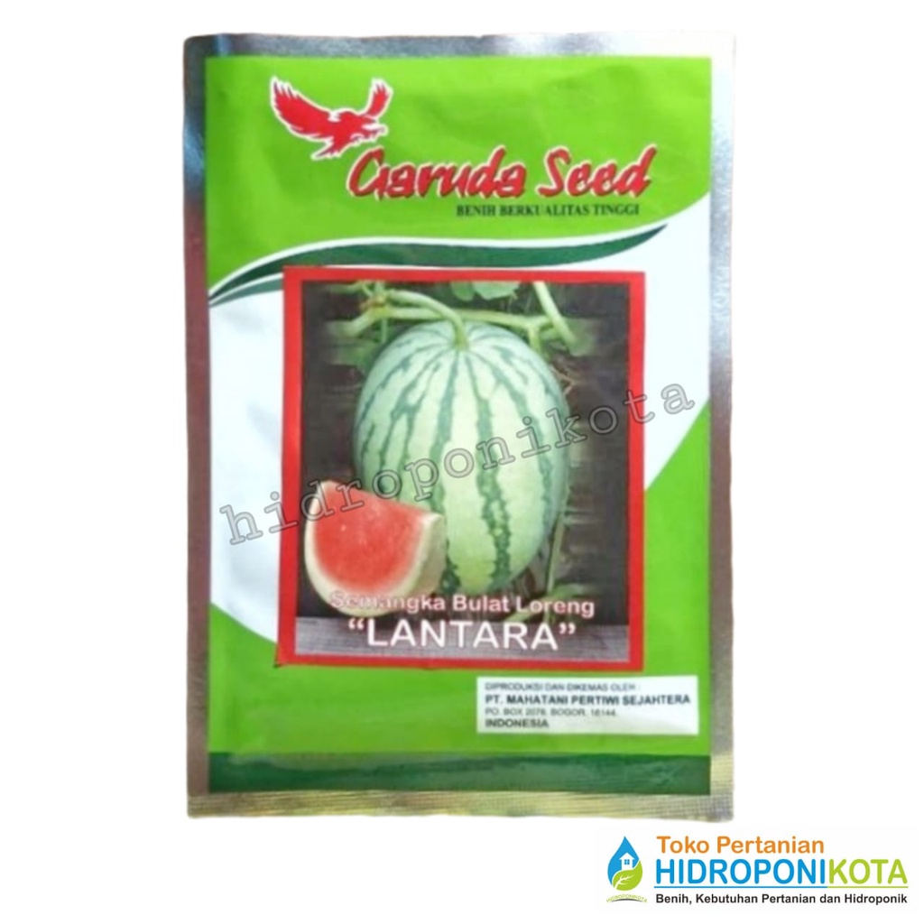 GS - benih SEMANGKA MERAG LANTARA isi 10 gram - bibit semangka - garuda seed