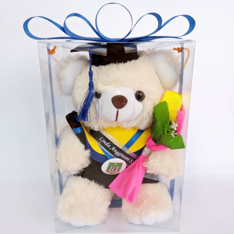 TEDDY BEAR WISUDA 30cm KOTAK MIKA / BONEKA WISUDA MURAH