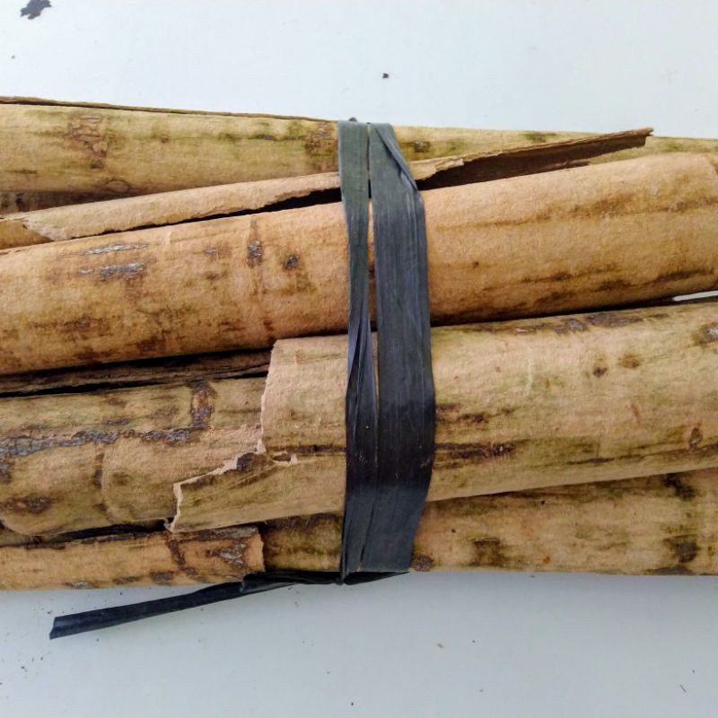 

Kulit Kayu Pule Kering 1kg / Kulit Batang Kayu Pule Kering