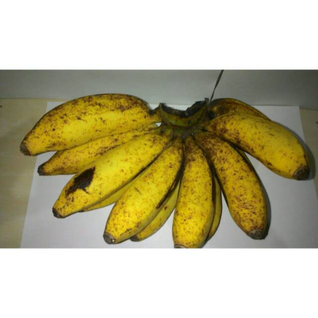 

Pisang raja sere