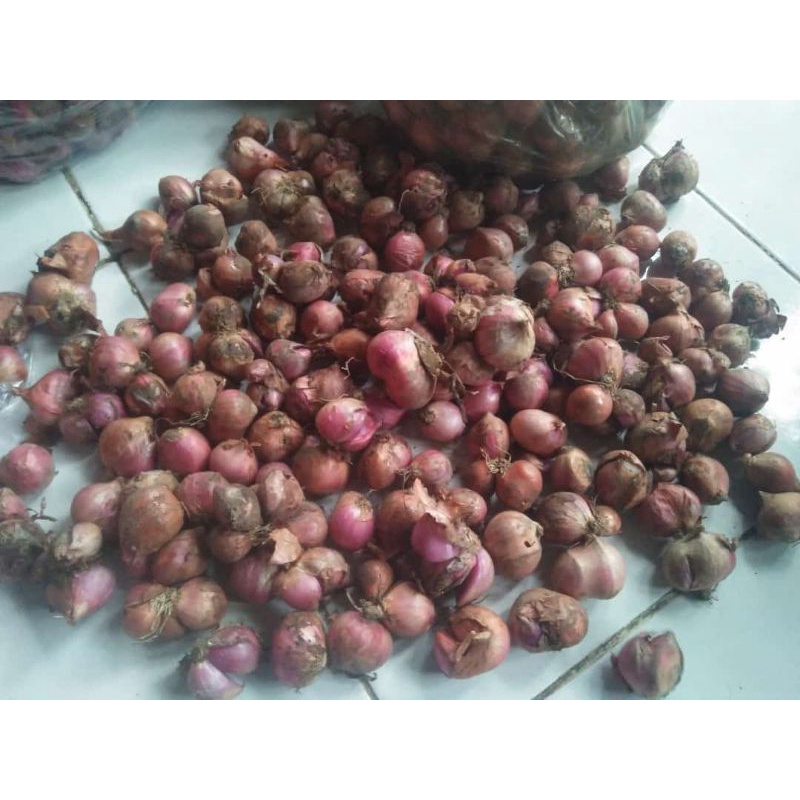 

bawang merah 1kg
