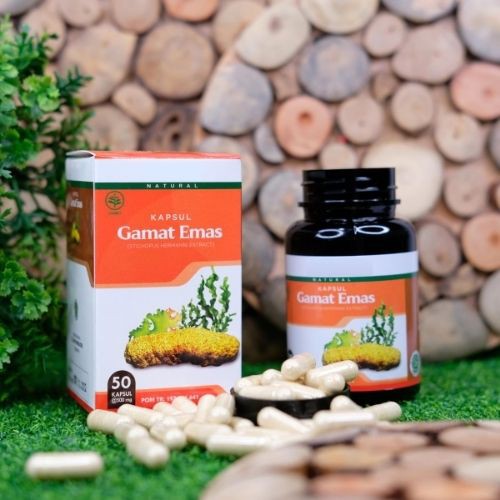 Obat Syaraf Kejepit Saraf Terjepit Saraf Kejepit Syaraf Terjepit Herbal Gamat Emas Kapsul Asli BPOM