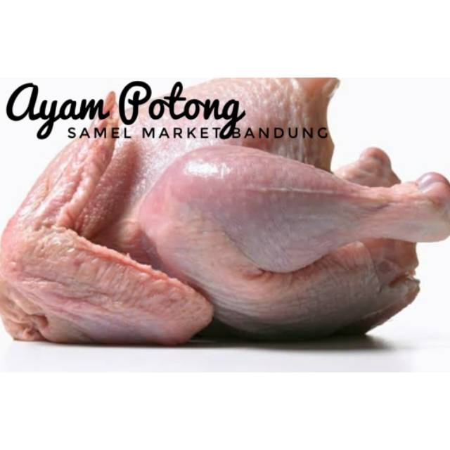 

Ayam potong boiler, 1 kg / Ayam Segar