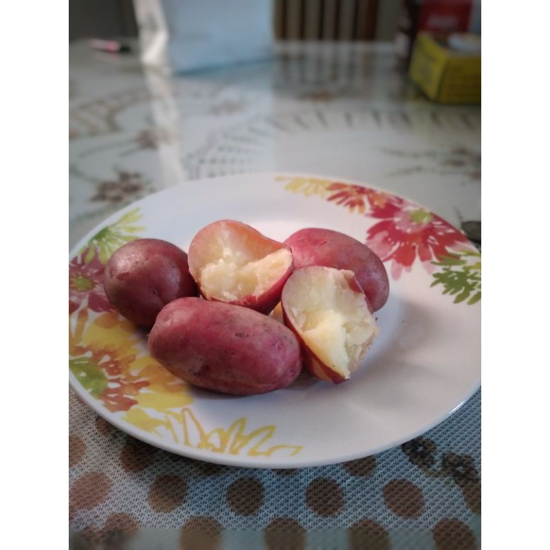 

kentangmerah 500gr