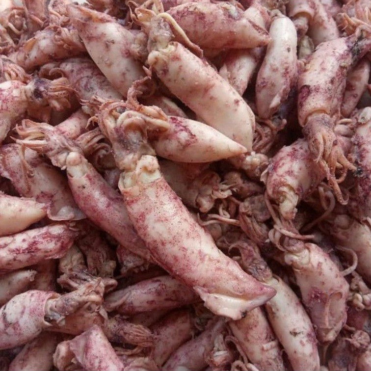 

Cumi asin telor rebus asli cumi segar Oleh oleh Pangandaran khas Pangandaran cocok buka puasa