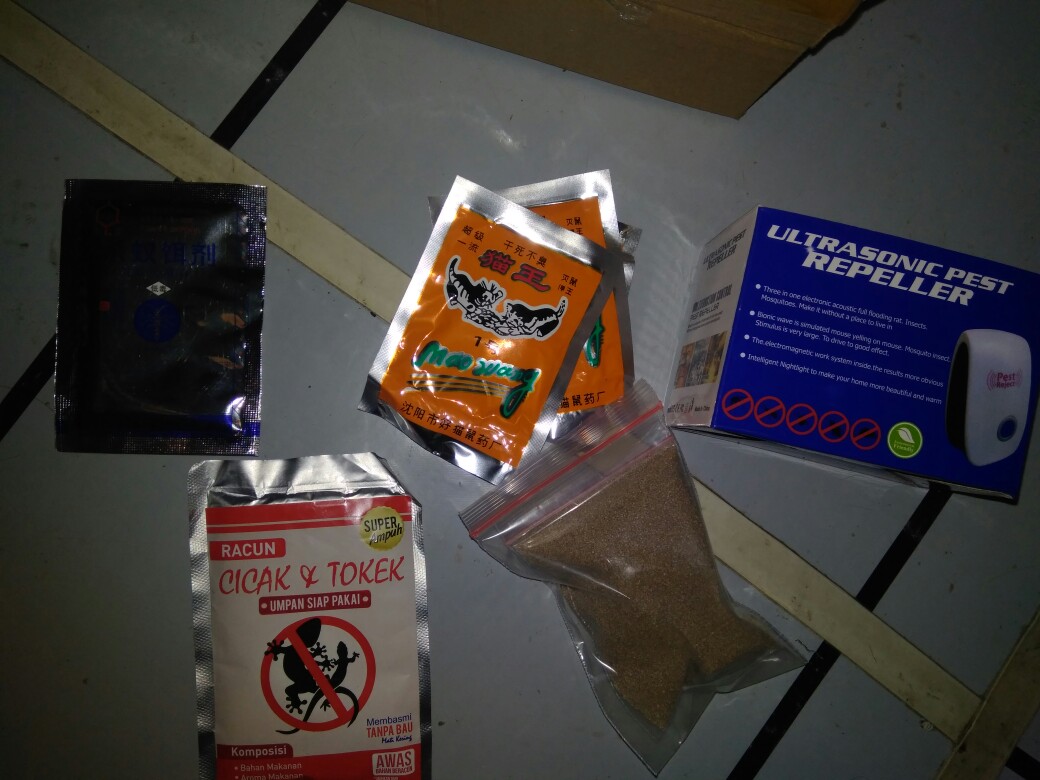 Racun Cicak & Tokek Pembasmi Super Ampuh Dan Tanpa Bau