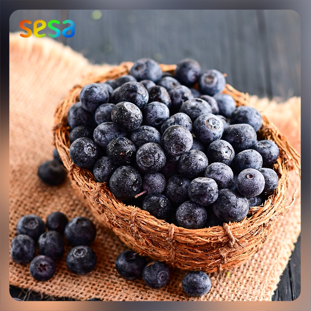 

BLUBERRY Fresh 125gr - Buah Beri Fresh Segar