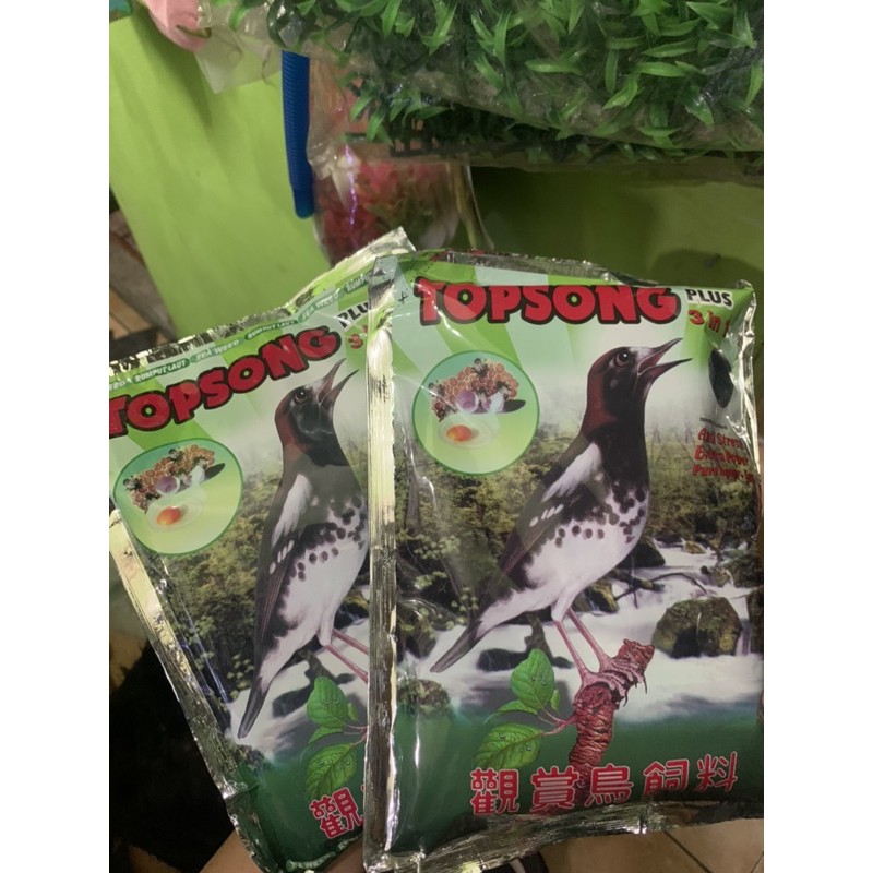 makanan burung topsong