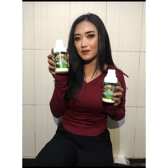 Obat herbal BS12