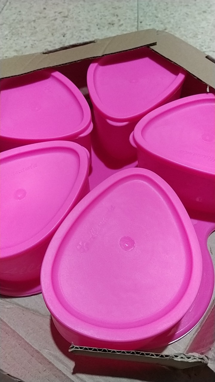 Toples Oval Alamanda Toples Cantik (warna Random)