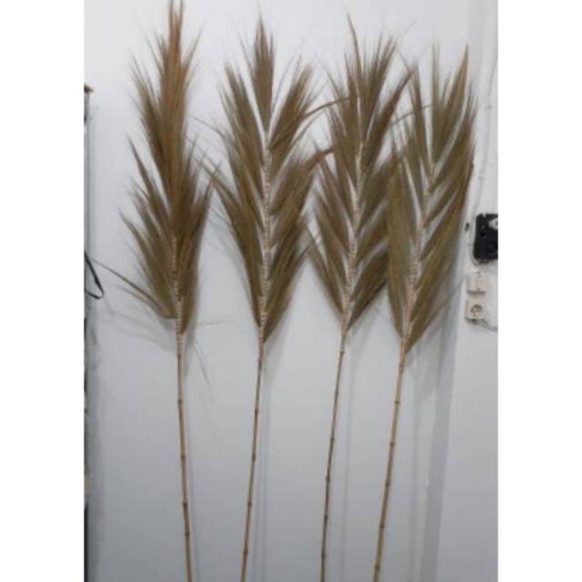 (BUNDLING ISI 4PCS) Rayung natural stik bambu / bunga kering / bunga hias