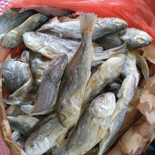 

ikan asin kepala Batu (asli medan)