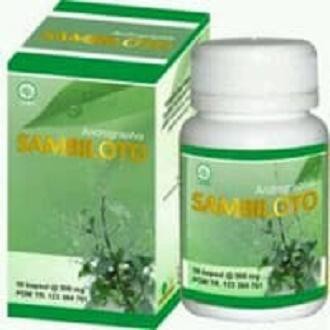 kapsul sambiloto asli  kapsul sambiloto toga nusantara