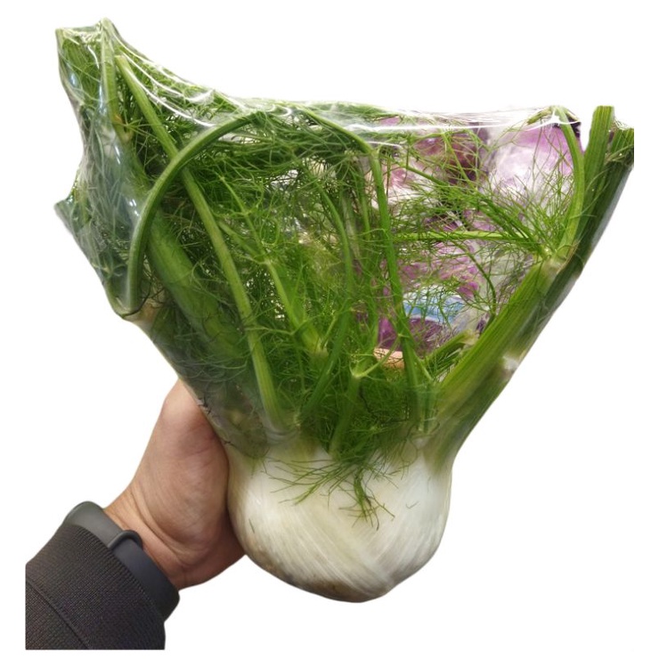 

Fennel fresh import Australia | pcs