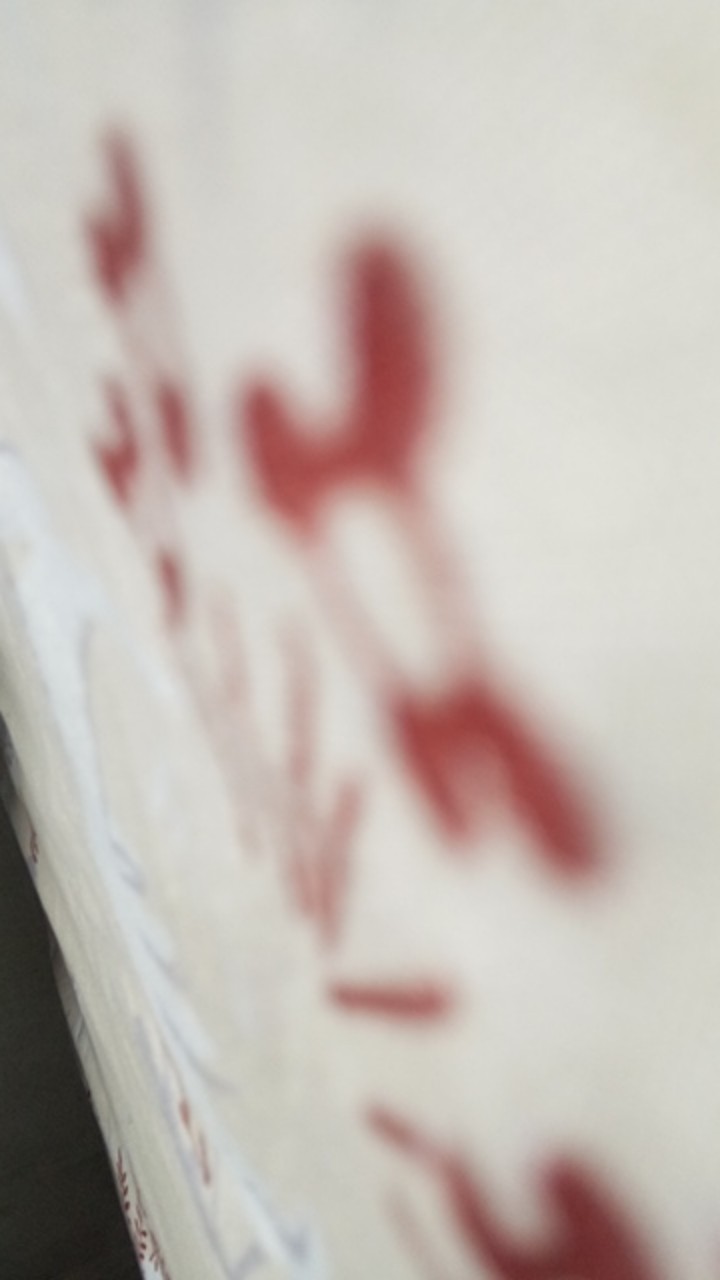 Cj Cetakan Coklat Cokelat Craft Koi Plastik 12 Cav