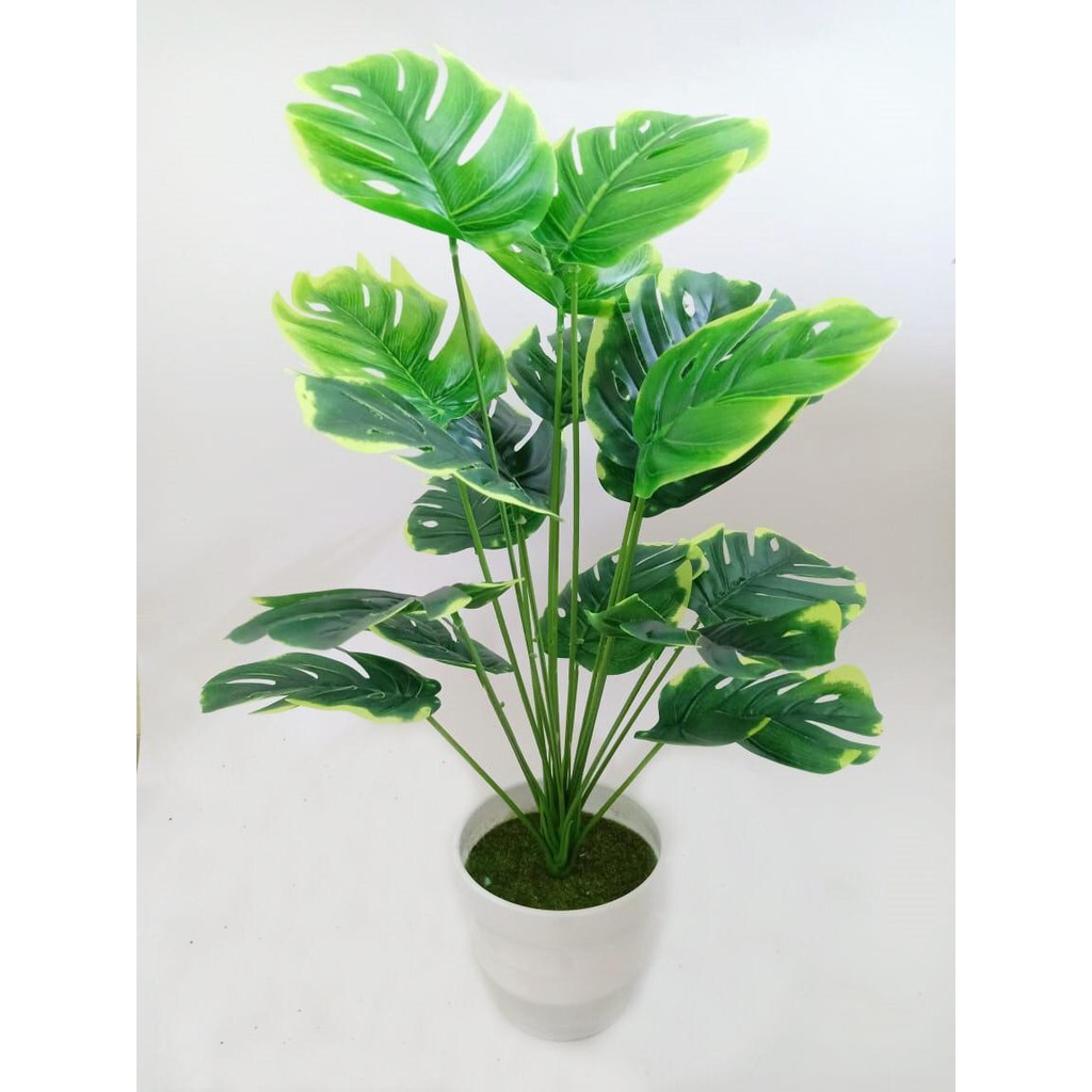 COD TANAMAN HIAS MONSTERA BESAR TANAMAN DAUN PLASTIK TANAMAN HIAS RUMAH BUNGA PLASTIK  BP8843-HIJAU KUNING