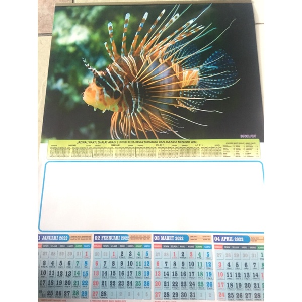 

Kalender Dinding Catur Wulan 2022 / Kalender caturwulan 2022