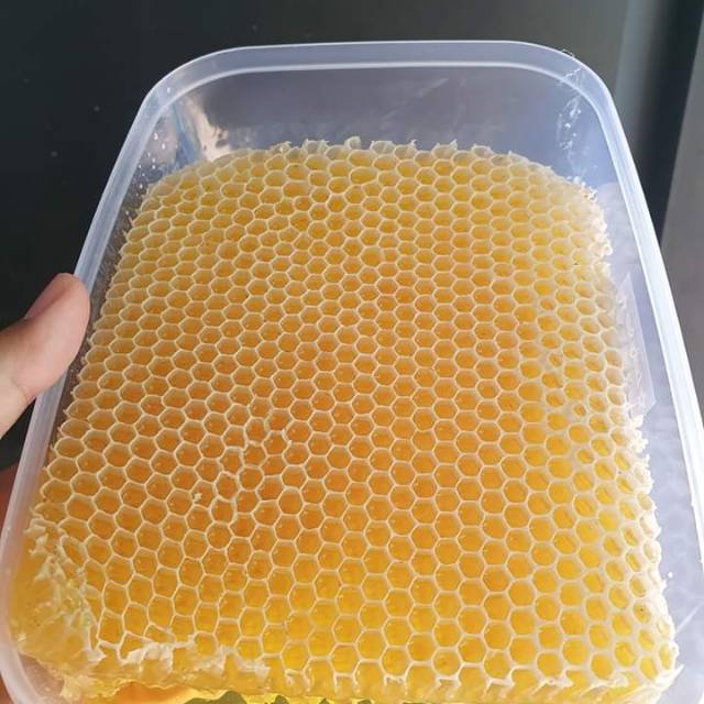 

Madu sarang murni 500grm