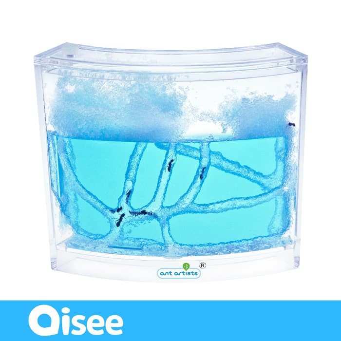 Jual Terbaru Aquarium Gel Ternak Semut Illuminated Gel Ant Farm Bg07 Indonesia Shopee Indonesia