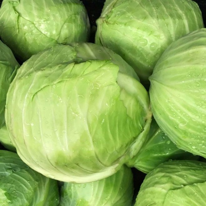 

Sayur Kol 250gr Kubis