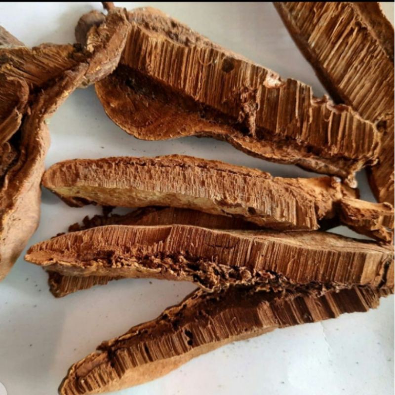 Jamur Lingzhi Kering 1kg