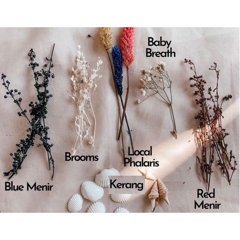 Seashelll and Dried Flowers Bundle - Paket Kerang dan Bunga Kering