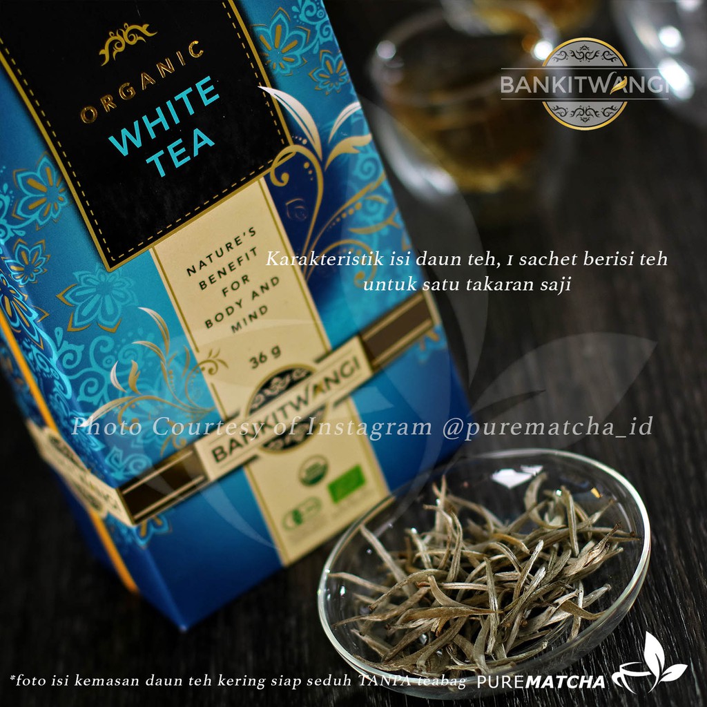 

Bangkit Wangi Premium White Tea Teh Putih Silver Needle Organic Sachet 3gr