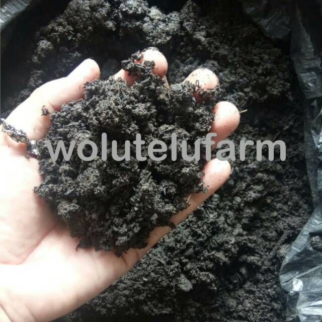 Kompos media tanam pupuk kandang sapi 1kg siap pakai