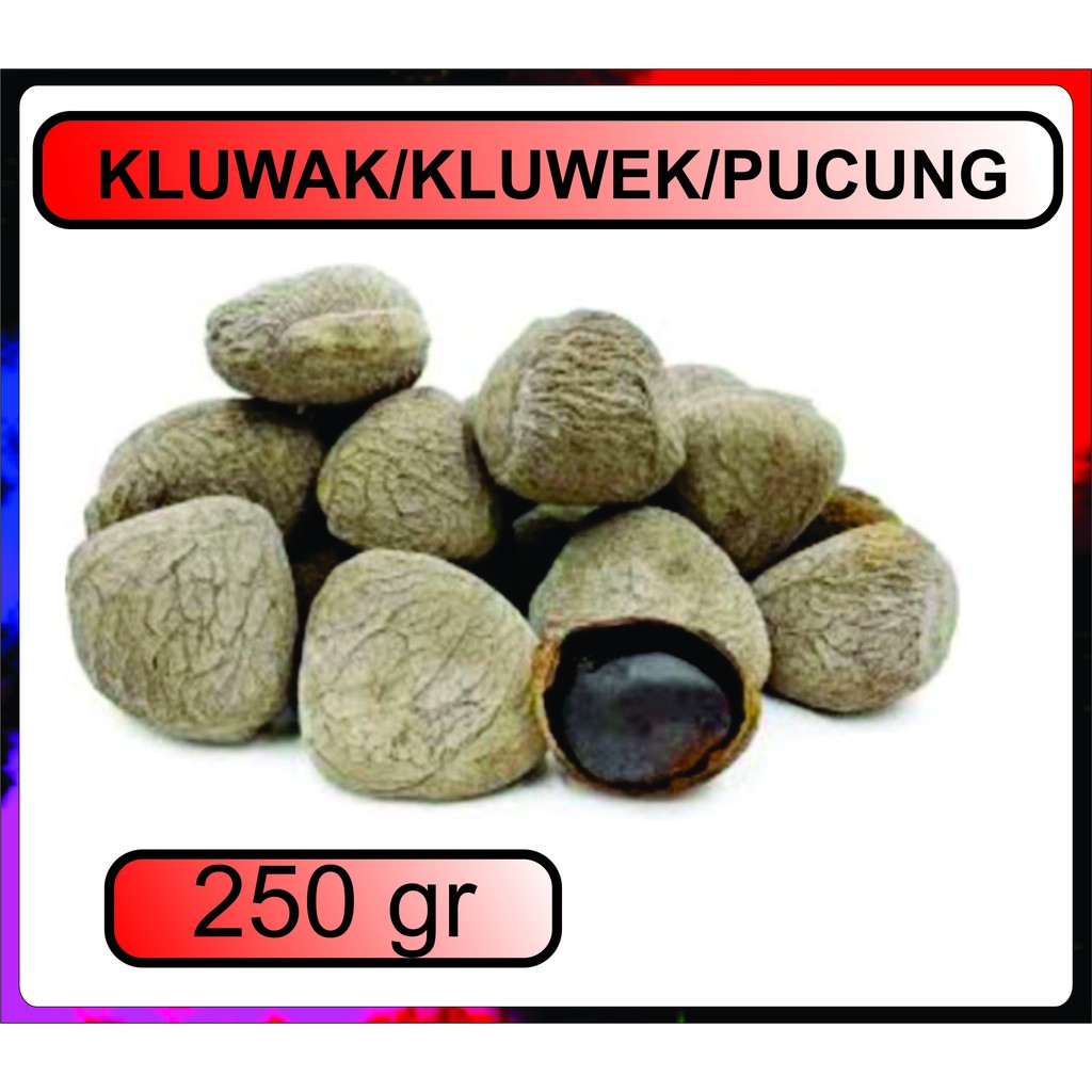 

Kepayang/Kluwak/Kluwek/Pucung Bumbu Masakan Instan Tradisional Alami Tambahan Makanan