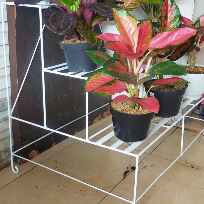 Rak Tanaman - Rak Besi Tanaman Hias 3 Susun