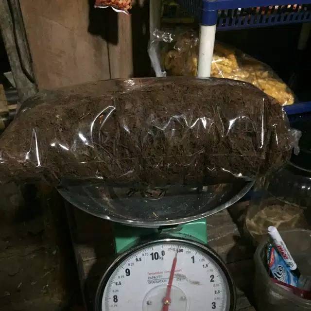 media tanam anggrek siap pakai